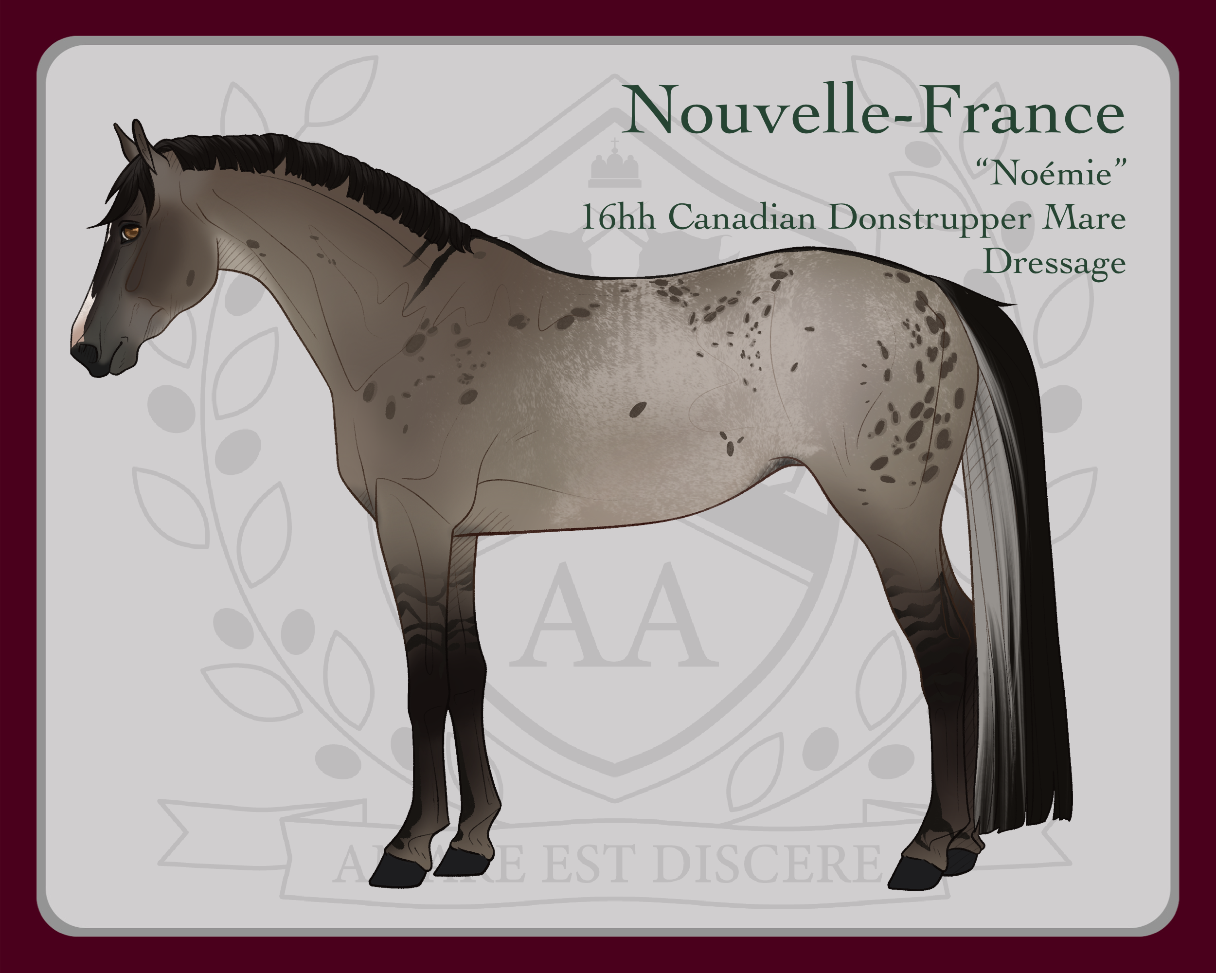M192 Nouvelle-France