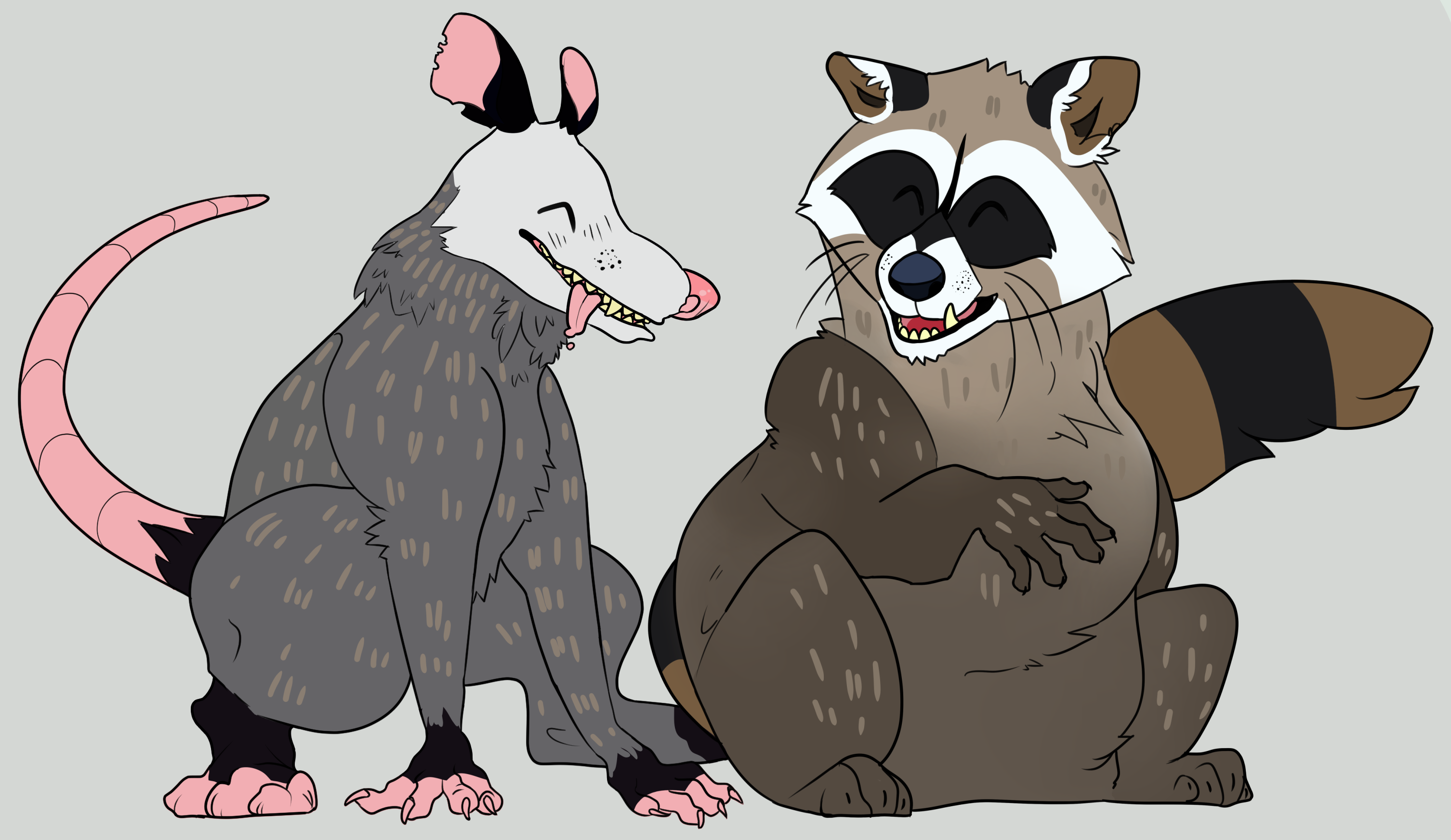 Possum Racoon Possum And Raccoon by DiamondShades on DeviantArt
