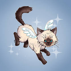 Gojita the Kitten