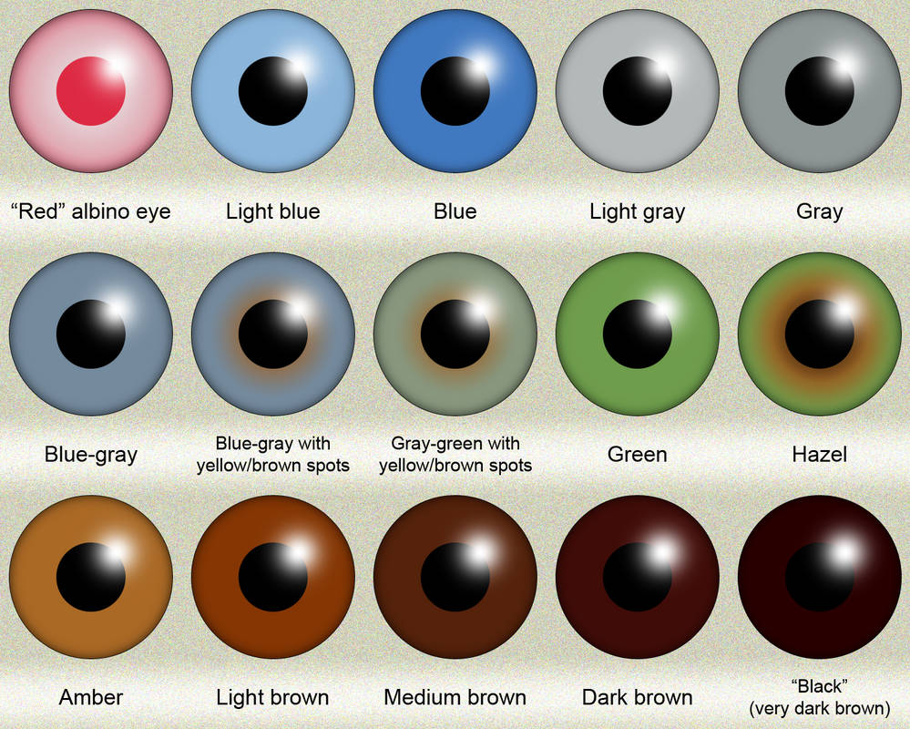 Eye Colors: Hazel, Green, Amber, Blue, Grey & Brown