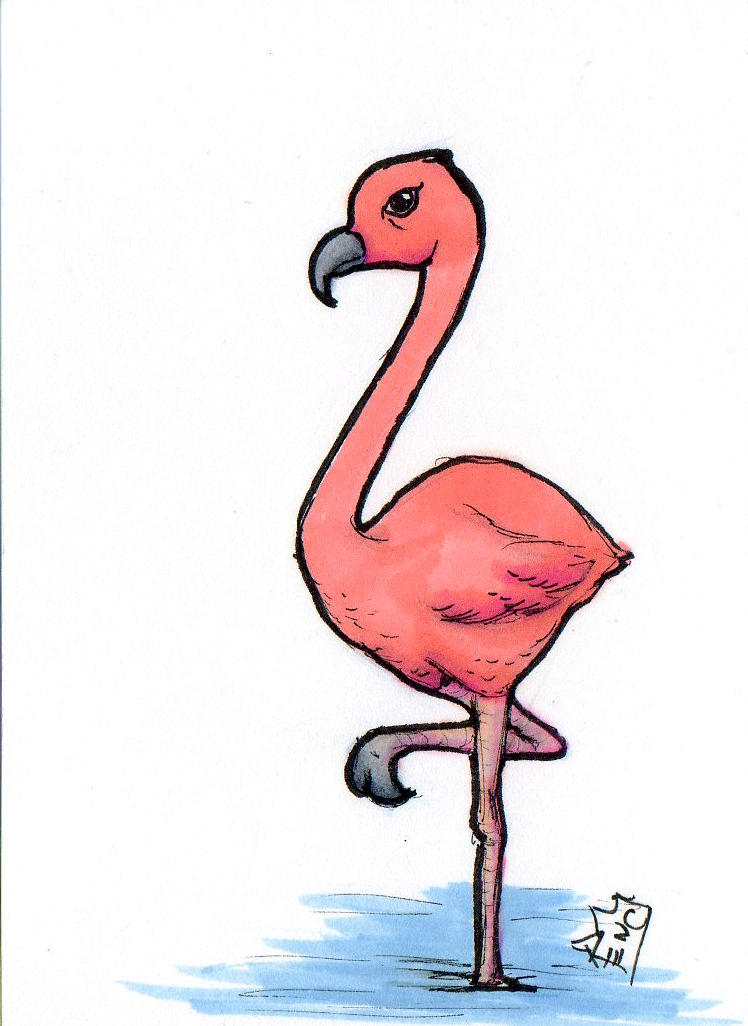 Фламинго легко. Фламинго рисунок. Фламинго карандашом. Фламинго для срисовки. Фламинго рисунок для срисовки.