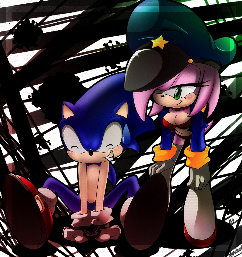 Save my life by Myly14 on deviantART  Sonic art, Sonic and shadow, Amy the  hedgehog