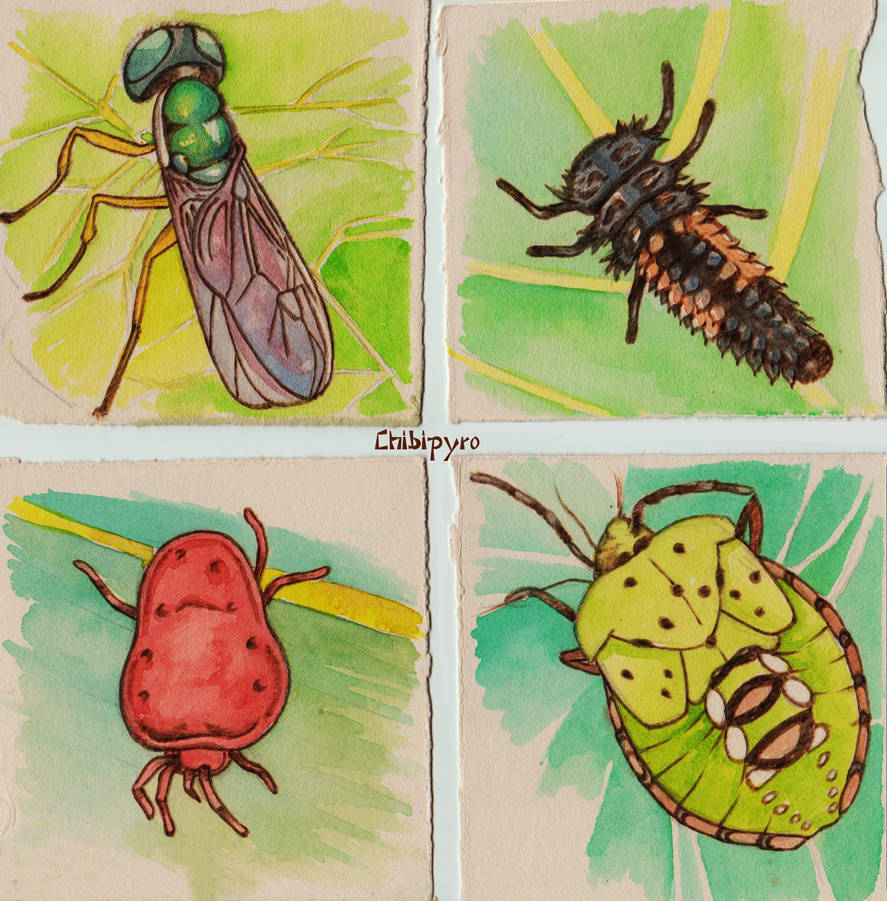 Paper Pyrography bugs 2 by Moonyzier on DeviantArt
