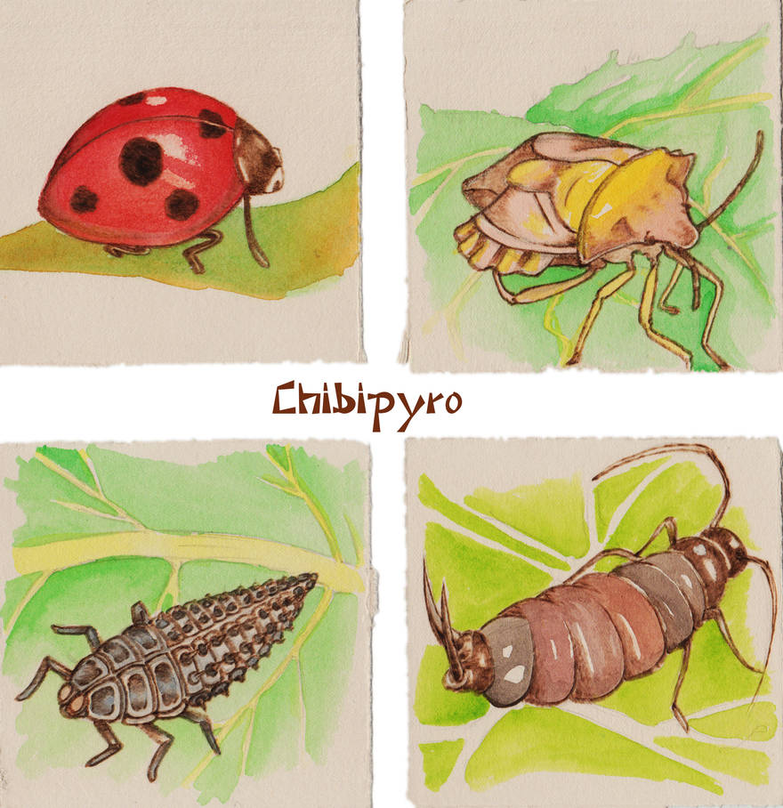 Paper Pyrography bugs 4 by Moonyzier on DeviantArt