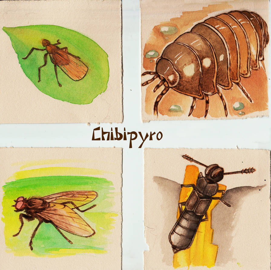 Paper pyrography bugs 6 by Moonyzier on DeviantArt