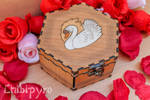 Swan celt zodiac box by Moonyzier