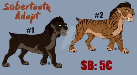 Sabertooth adopt Auction CLOSED