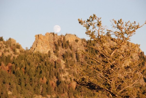 Mid-day Moon