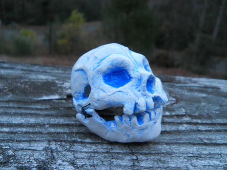 Little skull