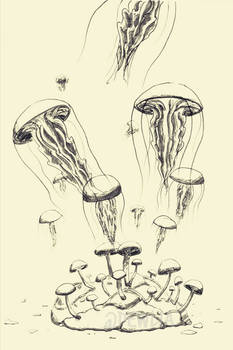 Mushrooms