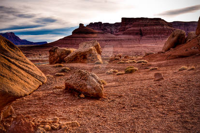 Desert Landscape