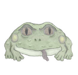 The Orc Toad