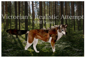 Realistic Preset Attempt