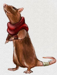 Rat Rogue