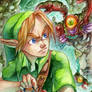 #89 OoT - Link and Gohma
