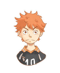 Shoyo Hinata