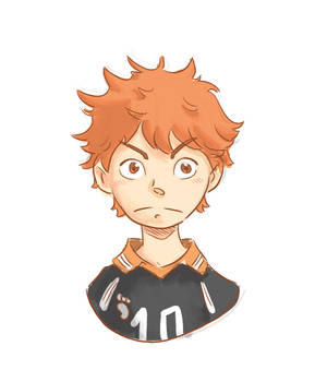 Shoyo Hinata