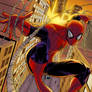 Spiderman (Colored)