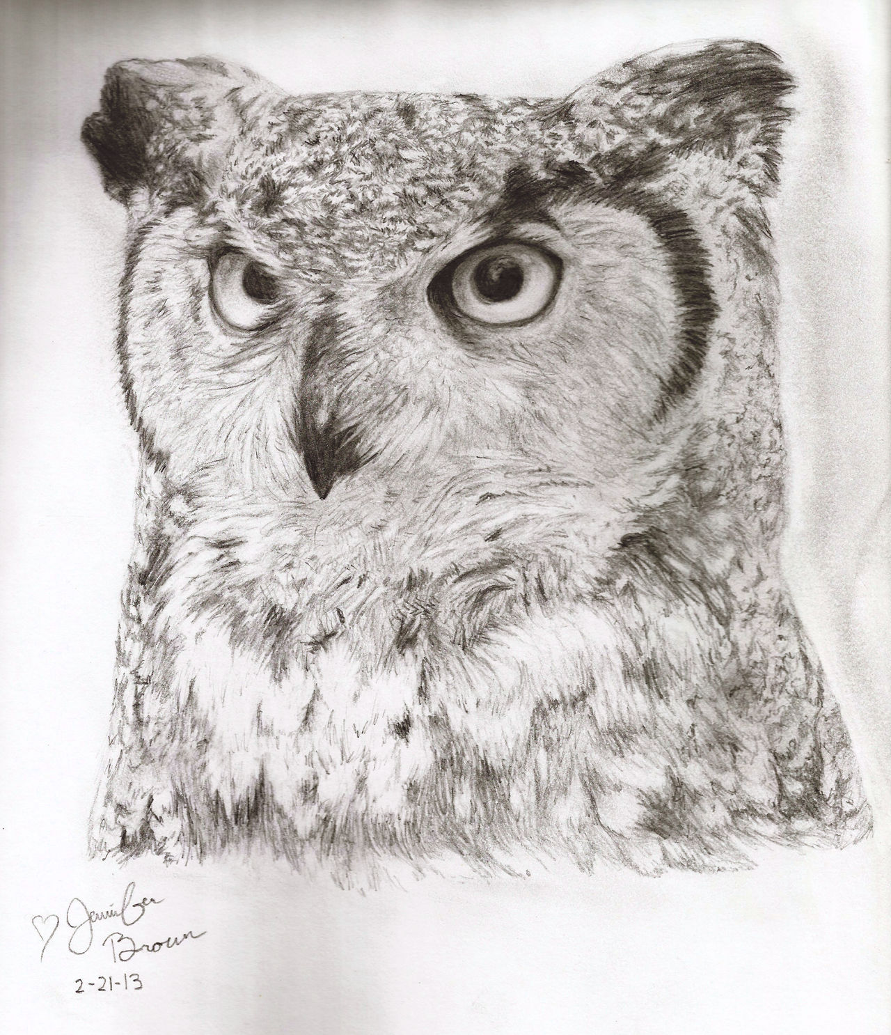 Horned Owl