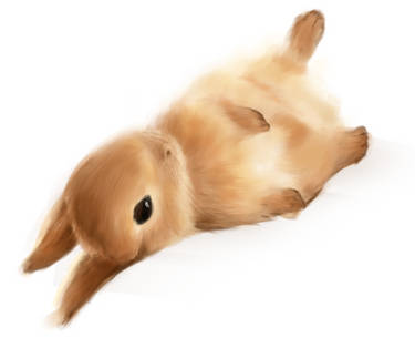 Explore the Best Rabbit Art | DeviantArt