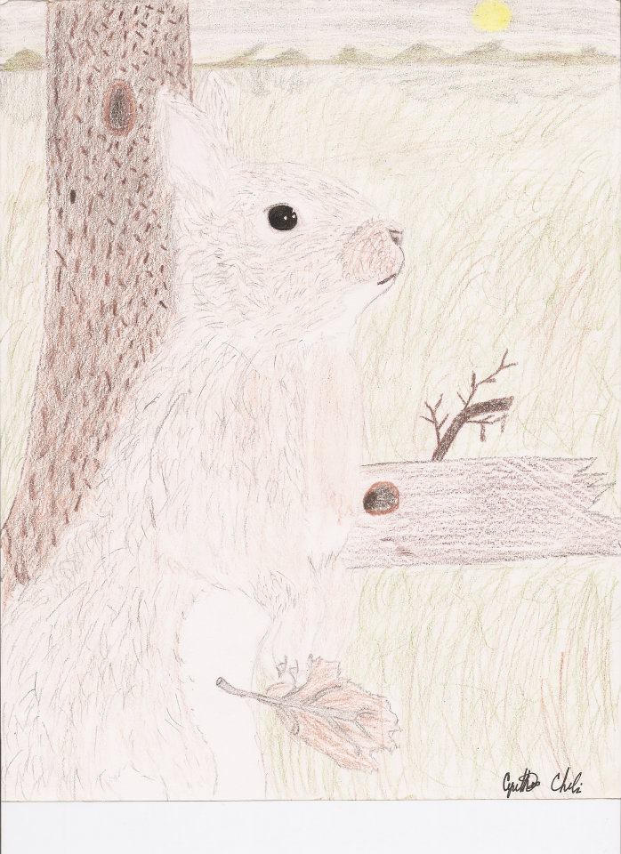 European Brown Rabbit by AkariFae on DeviantArt