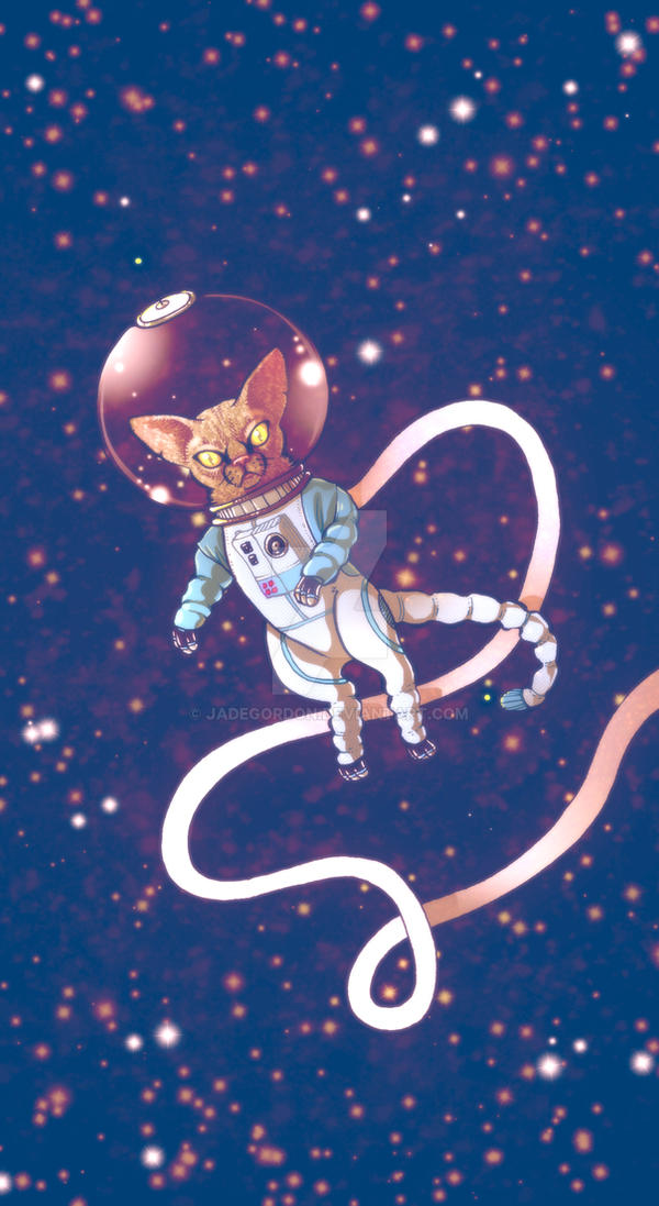 Space Cat by JadeGordon
