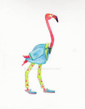 Flamingo in Menswear