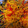 Chihuly's The Sun (Sunrise at Night)