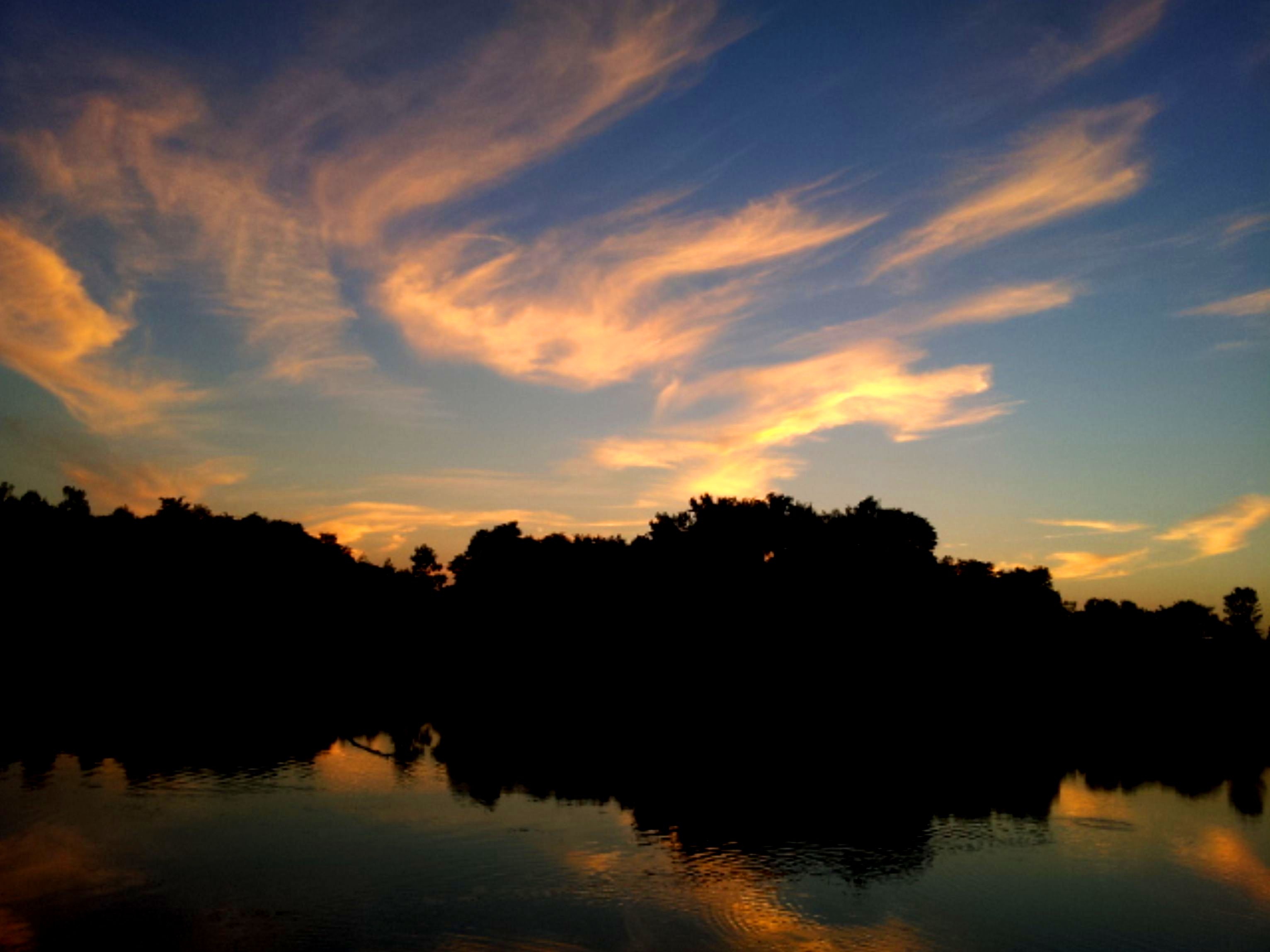 Pond Reflection