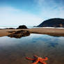 Crescent Beach - Starfish