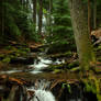 Mt.Hood - Ramona Falls