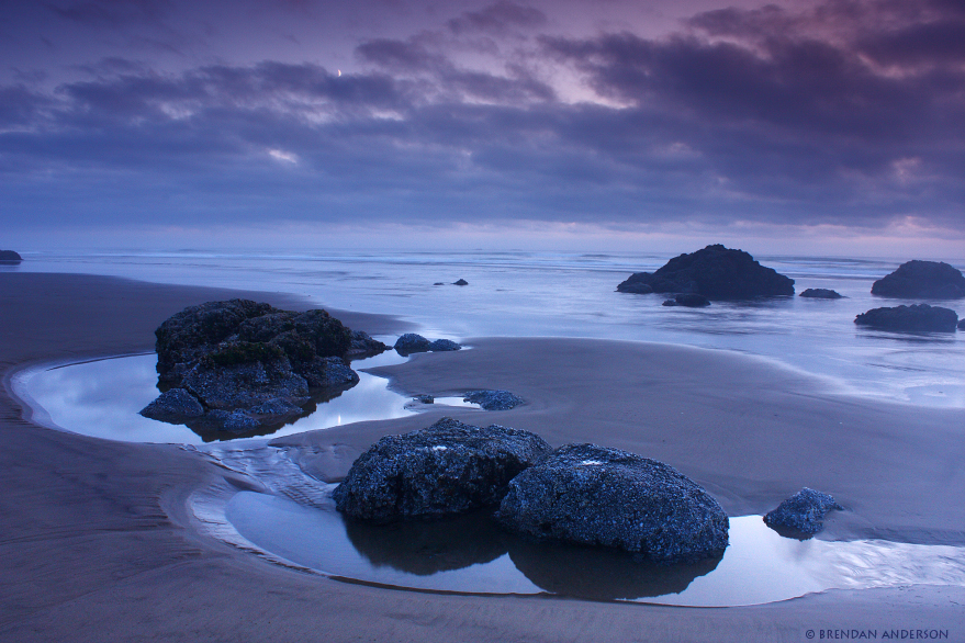 Cannon Beach - Tide Pools