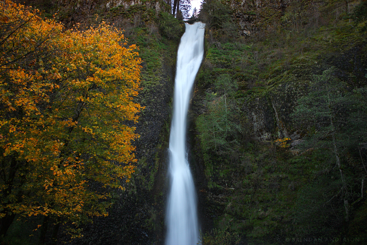 Horsetail Falls - Oregon