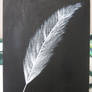 Feather