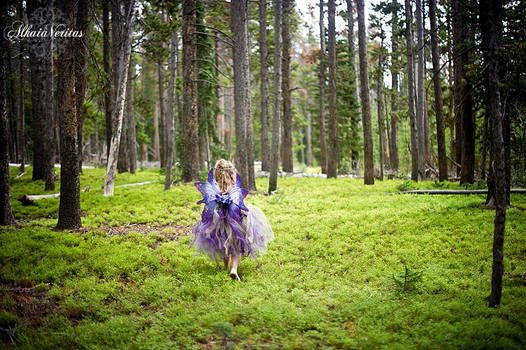 Little Fairy Walking