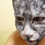 - CAT - Makeup 2