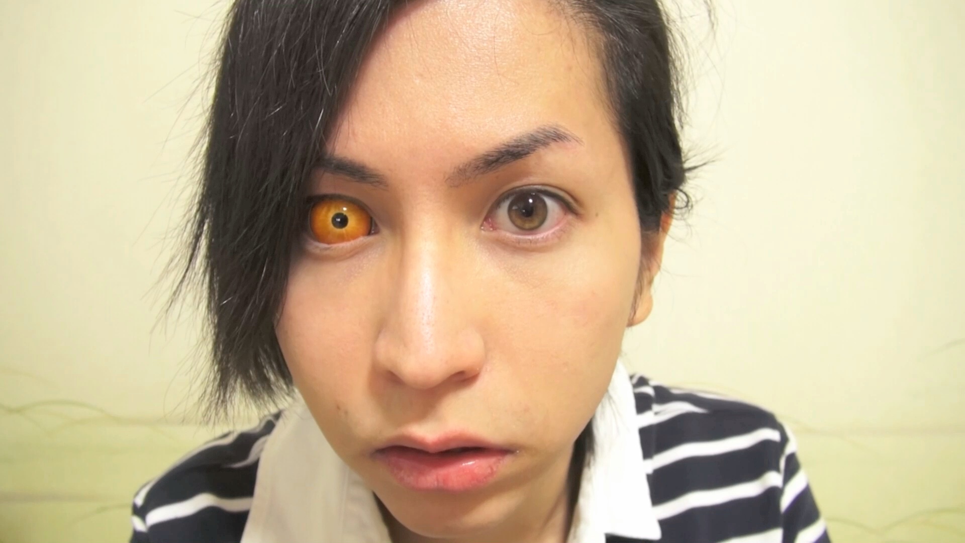 Eclips Sclera Contact Lenses