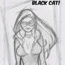 Black cat sketch