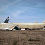 Boneyard 'Tall Tail' No. 4