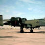 303d TFS A-10A