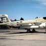 'Garudas' EA-6B in Gull Grey over White