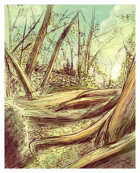 Hundred Acre Wood