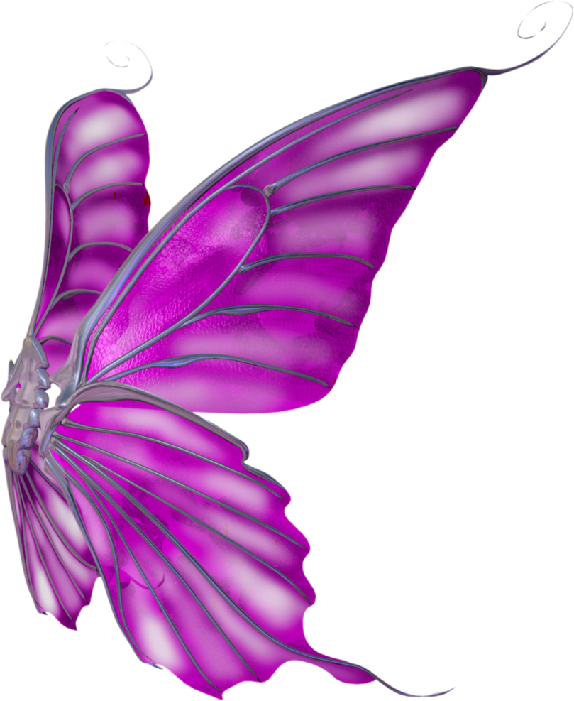 3 Colored Wings PNG