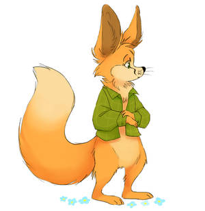 shy fox