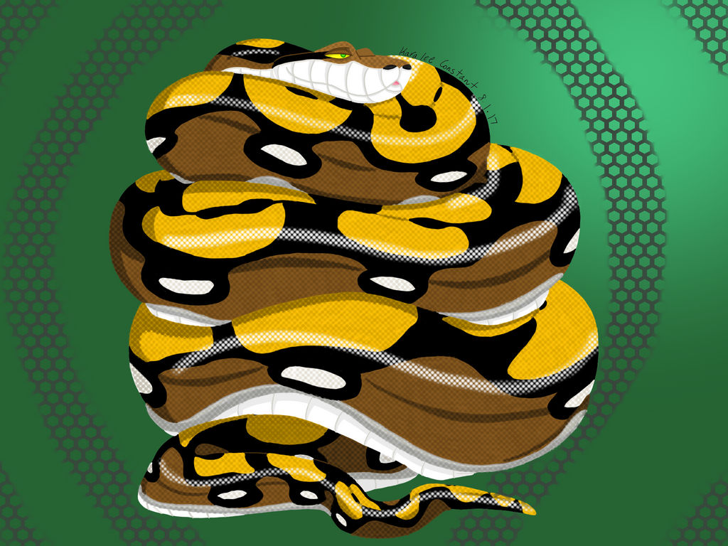 Sebastian the Tiger Reticulated Python 2 by TheArtisticNaga on DeviantArt