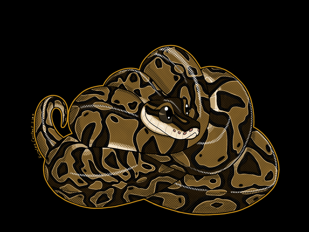 Ball Python Babeh by TheArtisticNaga on DeviantArt