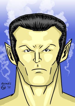 Prince Namor Sub-Mariner Portrait colors