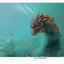 Coral reef sea monster