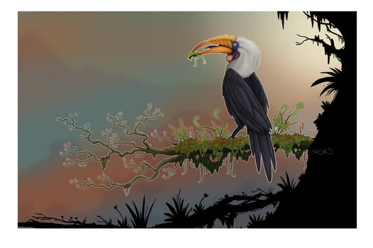 HornBill colored