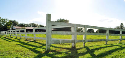 White fence